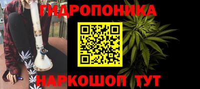 ГАЛЛЮЦИНОГЕННЫЕ ГРИБЫ Сланцы