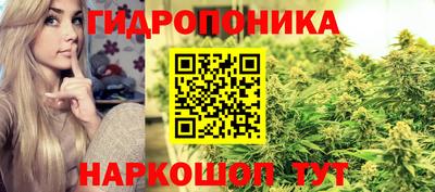 2c-b Славянск-на-Кубани